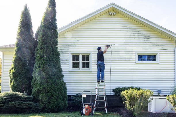 Best Pressure Washing Contractors  in North Vacherie, LA