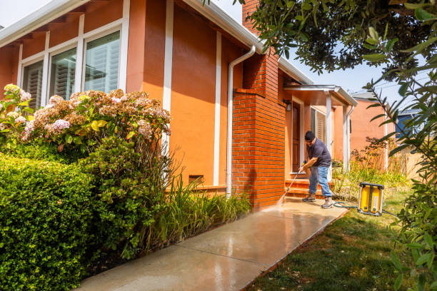 Best Power Washing Near Me  in North Vacherie, LA
