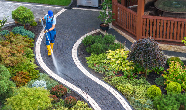 Best Roof Power Washing Services  in North Vacherie, LA